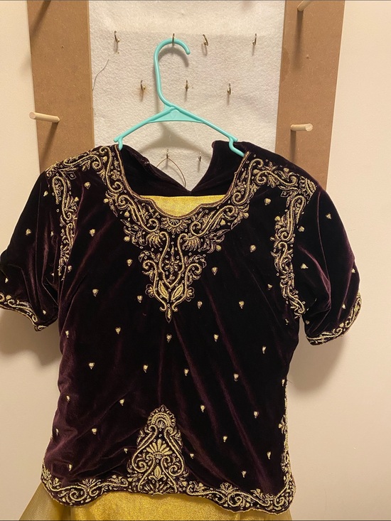 Dresses & Skirts - Velvet Embroidered Short Sleeve Top in Deep Plum with Gold Threading